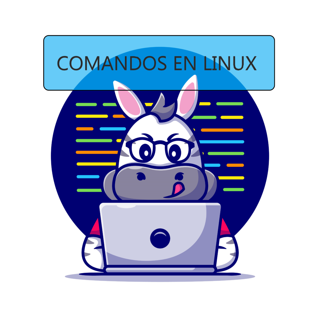 Comandos linux desarrollo web